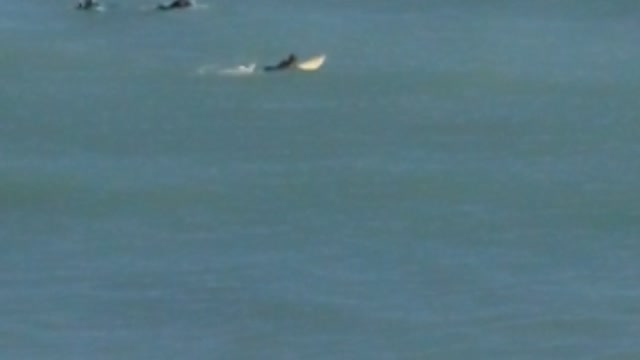 Black wet suit guy floating on small waves surf