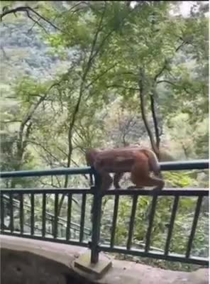 It's been a tough week