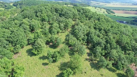 We're Bringing Back Europe's Lost Butterfly Meadows