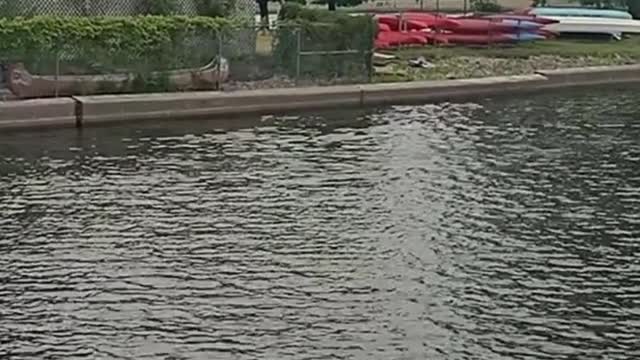 sport sur le plancher