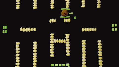 bean sprouts 6