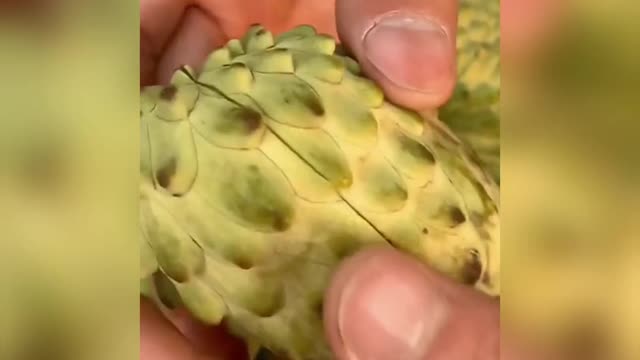 Cutting fruit
