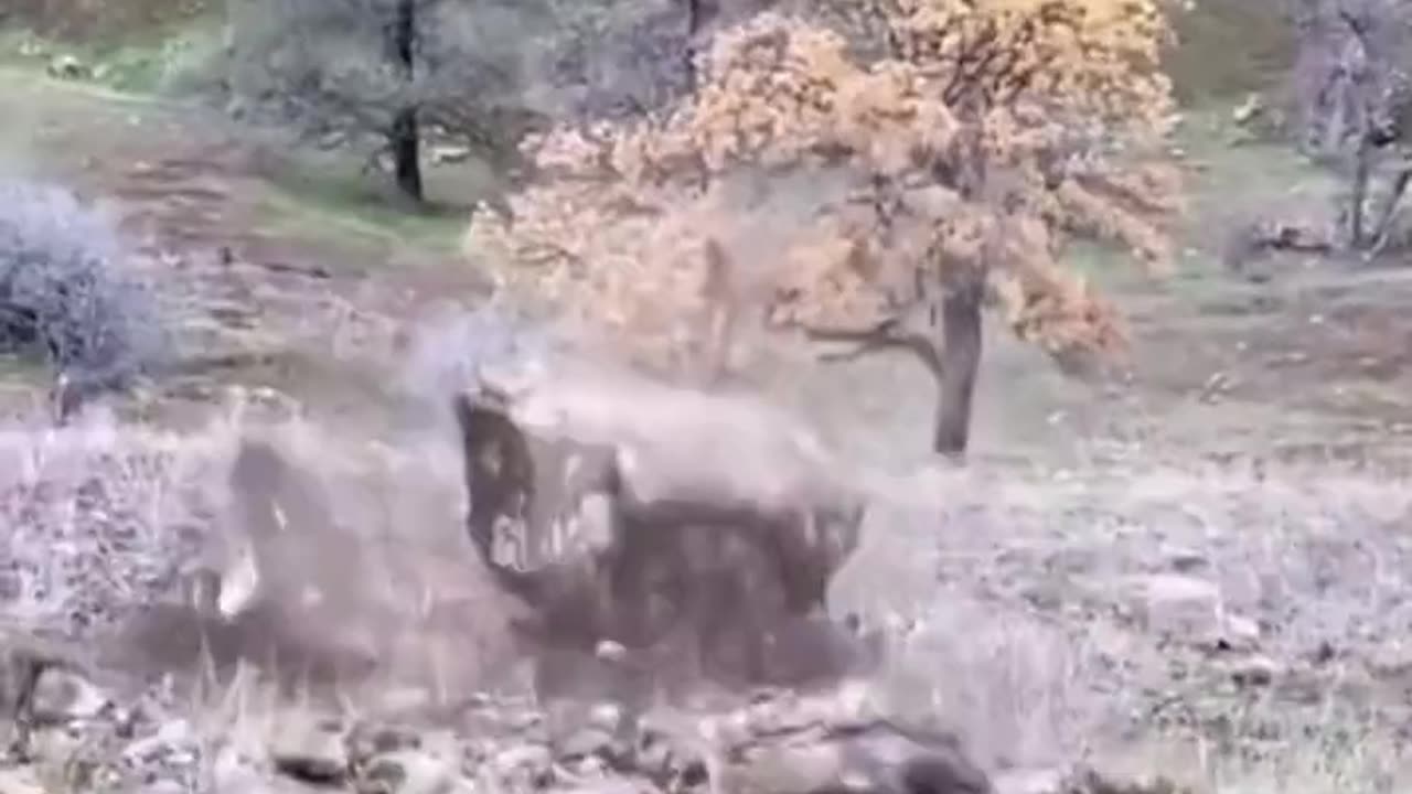 Massive Rock throw from Clif