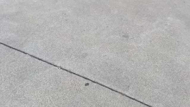 Built boosted C6 leaving car show in style