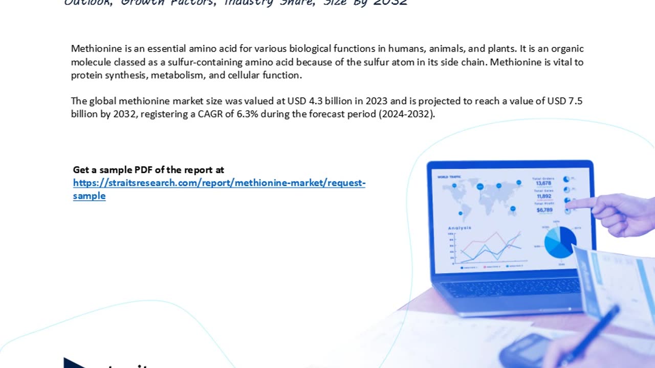 Revenue Forecast and Competitive Landscape for the Methionine Market