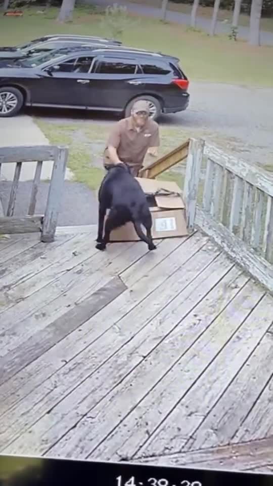 The delivery driver was shook 😂