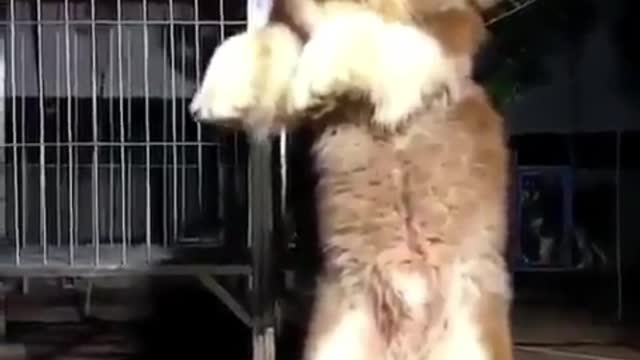 Like to hug that more hug