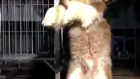 Like to hug that more hug