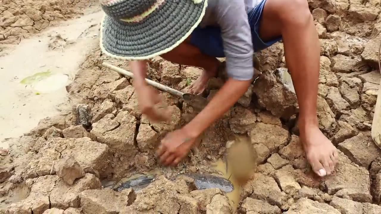 Unique fishing/man catching giant cat fish in dry season