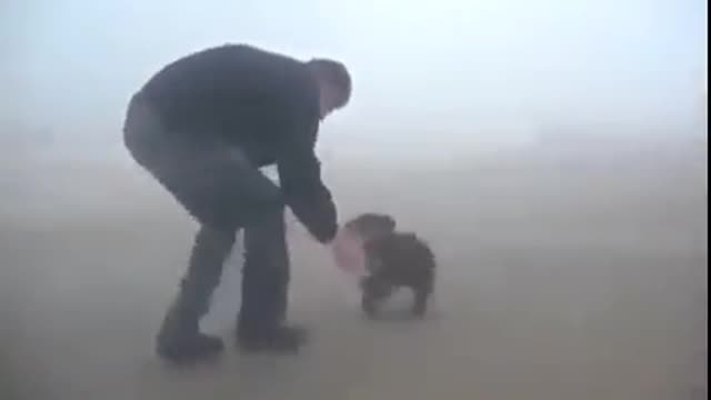 A bear cub rescued from a forest fire does not let go of its savior.🥰