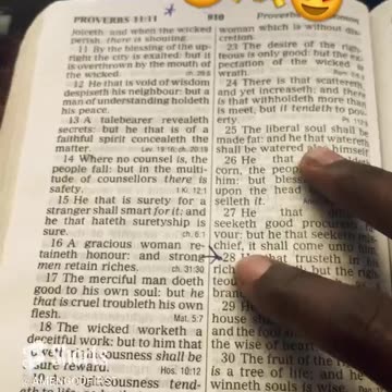 chosen ones daily scripture proverbs 11_28 he that trusteth his own riches shall fall!