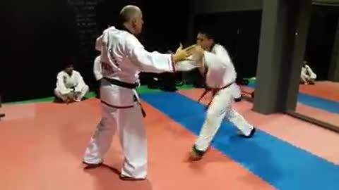 Hapkido