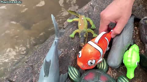 Sea animal Toys at the sea shore