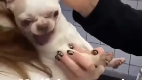 MEME WARS !! 😂😅🤣🍿🍿#WakeUp