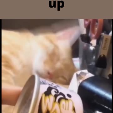 just one click will wake me up