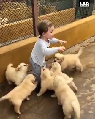 The most beautiful childhood