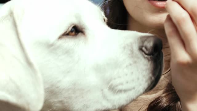 couple-feeding-their-dog-while-on-the-ca