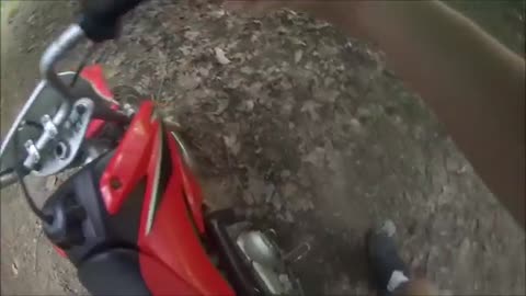 Honda CRF-70 Rock Smashes Case