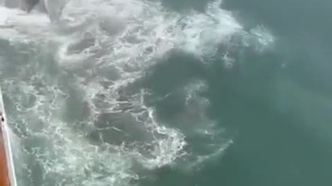 Cruise ship (NORWEGIAN SUN) hits a minor iceberg in Alaska.