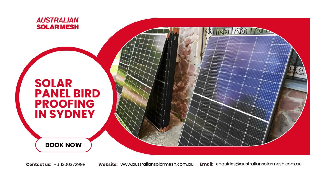 Enhance Your Solar Experience: Solar Panel Bird Proofing in Sydney