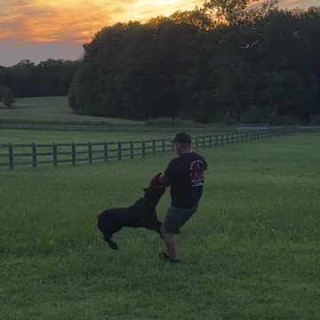 Did We Do This Trend Right?