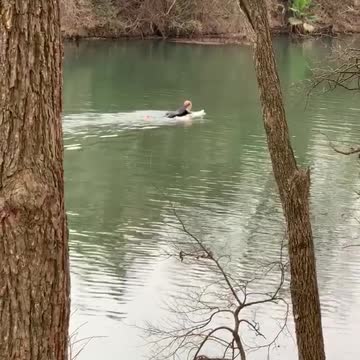 Surfer paddles surfboard in a river