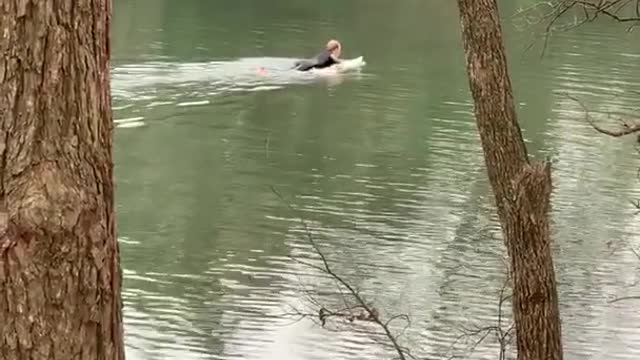 Surfer paddles surfboard in a river