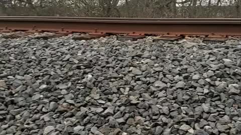 Juicing and diet needs to address my sister's nutrition needs as she fights cancer