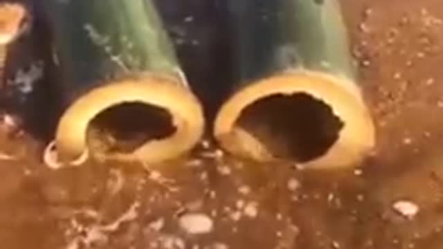Amazing videos you need to watch!