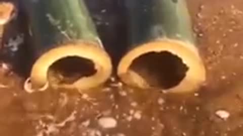 Amazing videos you need to watch!