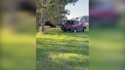 pulling a tree with a car