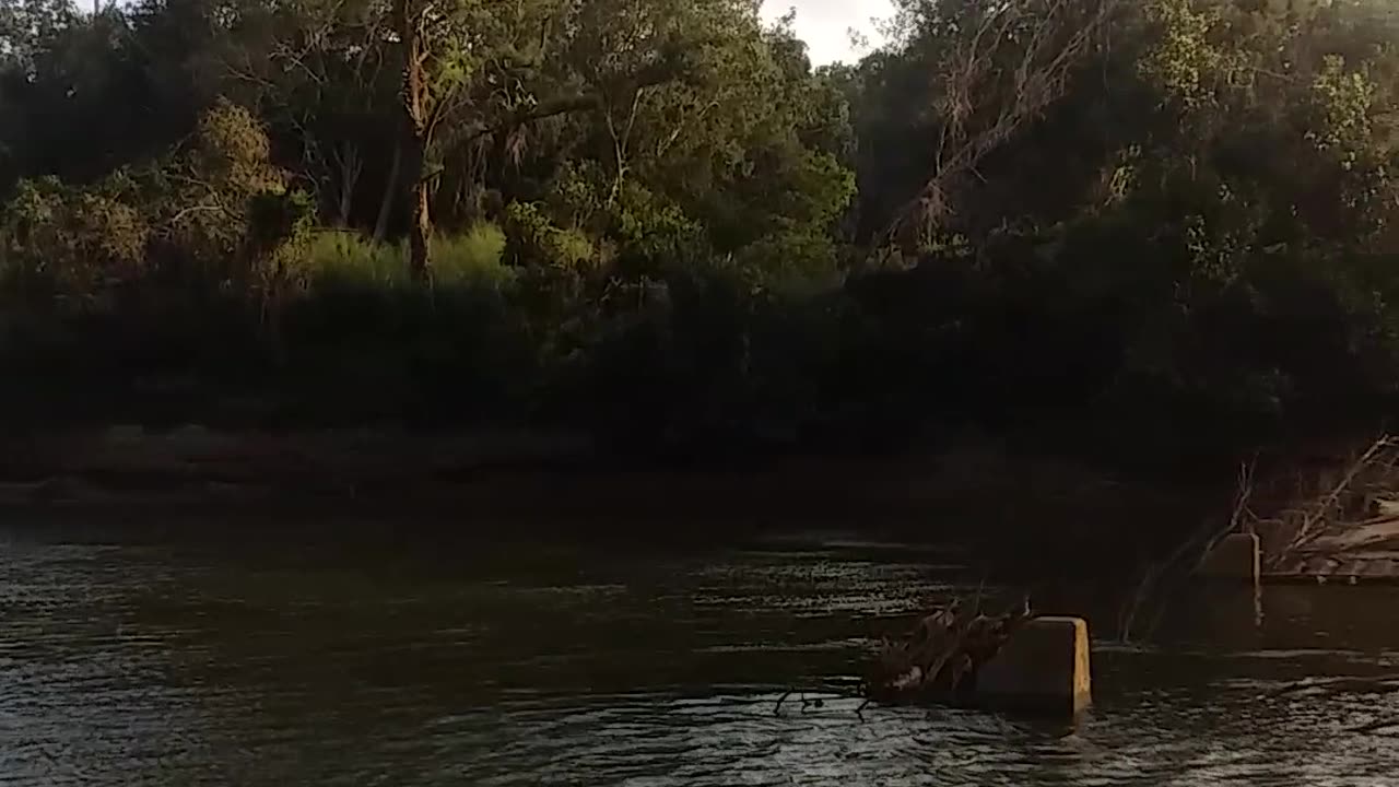 17.5.2024 The Barron River, Kuranda (2)