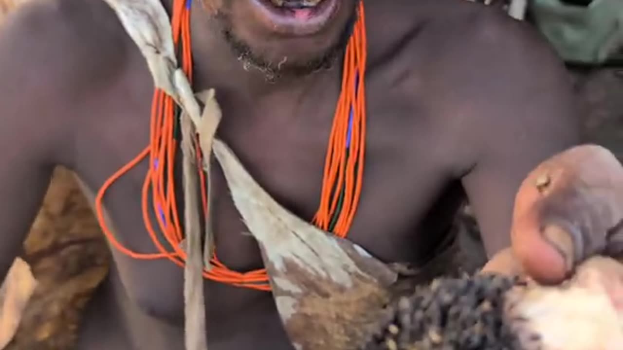 Now it's luctime so delecius meat, hadzabe tribe hunt eating favorit food..