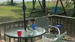 Dad Swing Hack