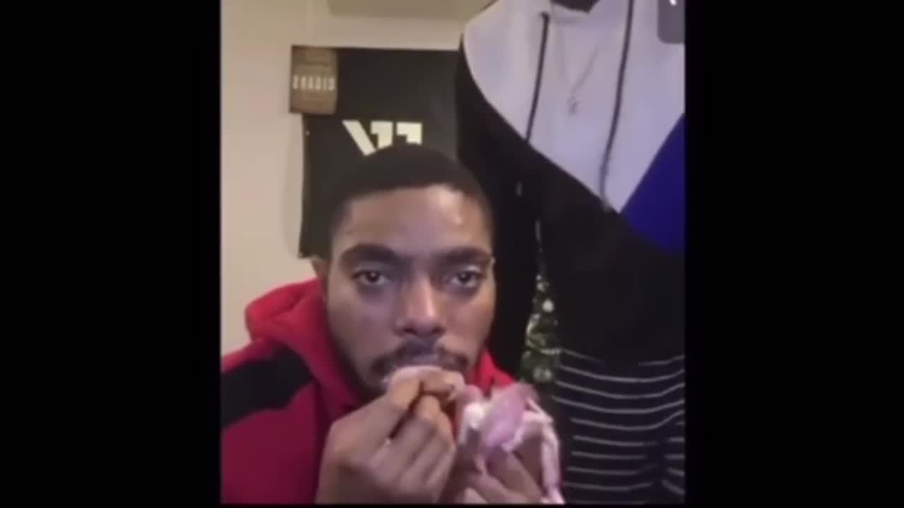 He Bit And Tore The Intestines Of The Rat And The Rat Shit Made Him Puke