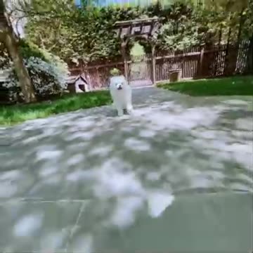 2xFPFuXxwfGi86AVtyjvSe