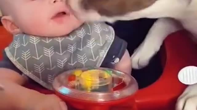 6 sec baby funny videos