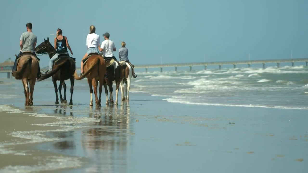 Group Rides Horses Along Texas Beach