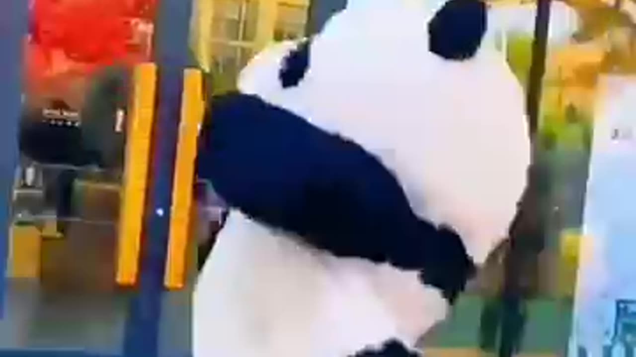 Tukur tukur cute bear panda