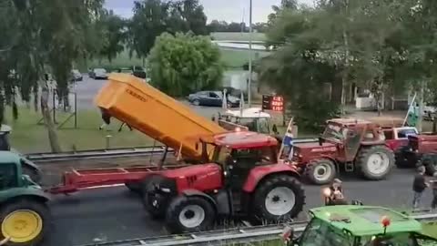 Dutch farmers protest government closes dozens of farms to reduce nitrogen by 30%