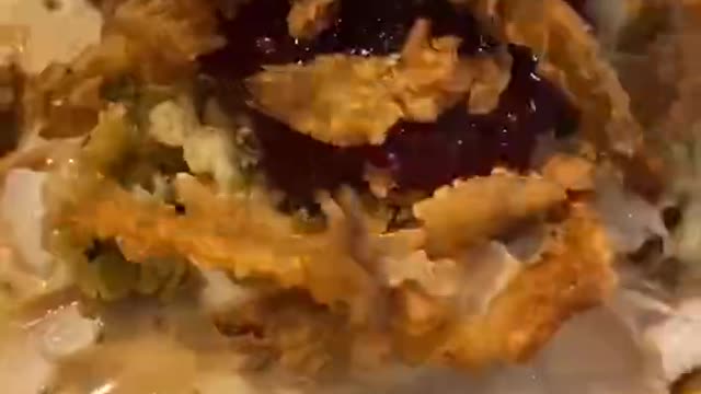 THANKSGIVING LEFTOVER FRIES