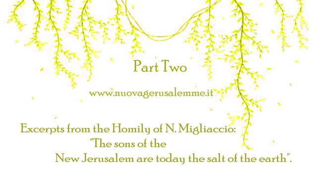 24/01/21Children of the New Jerusalem are the salt of the earth today,Homily by N.MigliaccioPart Two