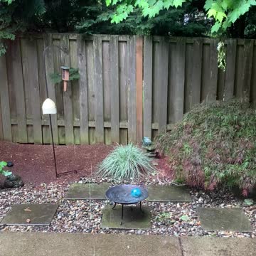 Hard Rain a-Gonna Fall