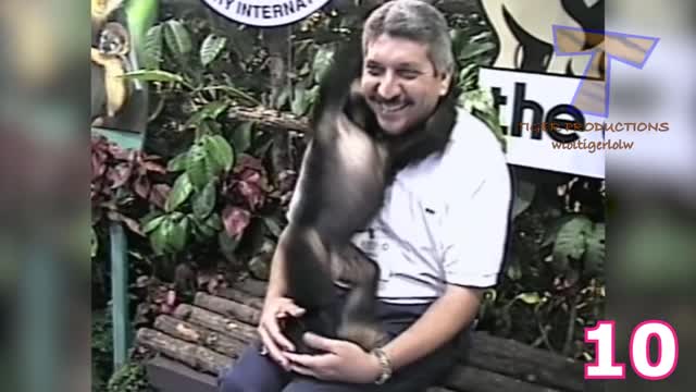 SHORT TRY NOT TO LAUGH CHALLENGE # 1