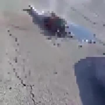 נועה מגיד Noa magid - corpses makes them happy SICK MONSTERS