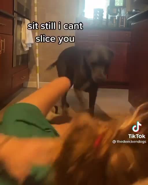 What would YOUR dog do if you choked!