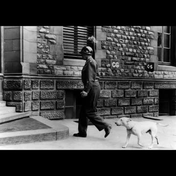 Feb 6, 2024 Gen. Patton quotation of the day #ww2 #war #leadershipdevelopment #leadership