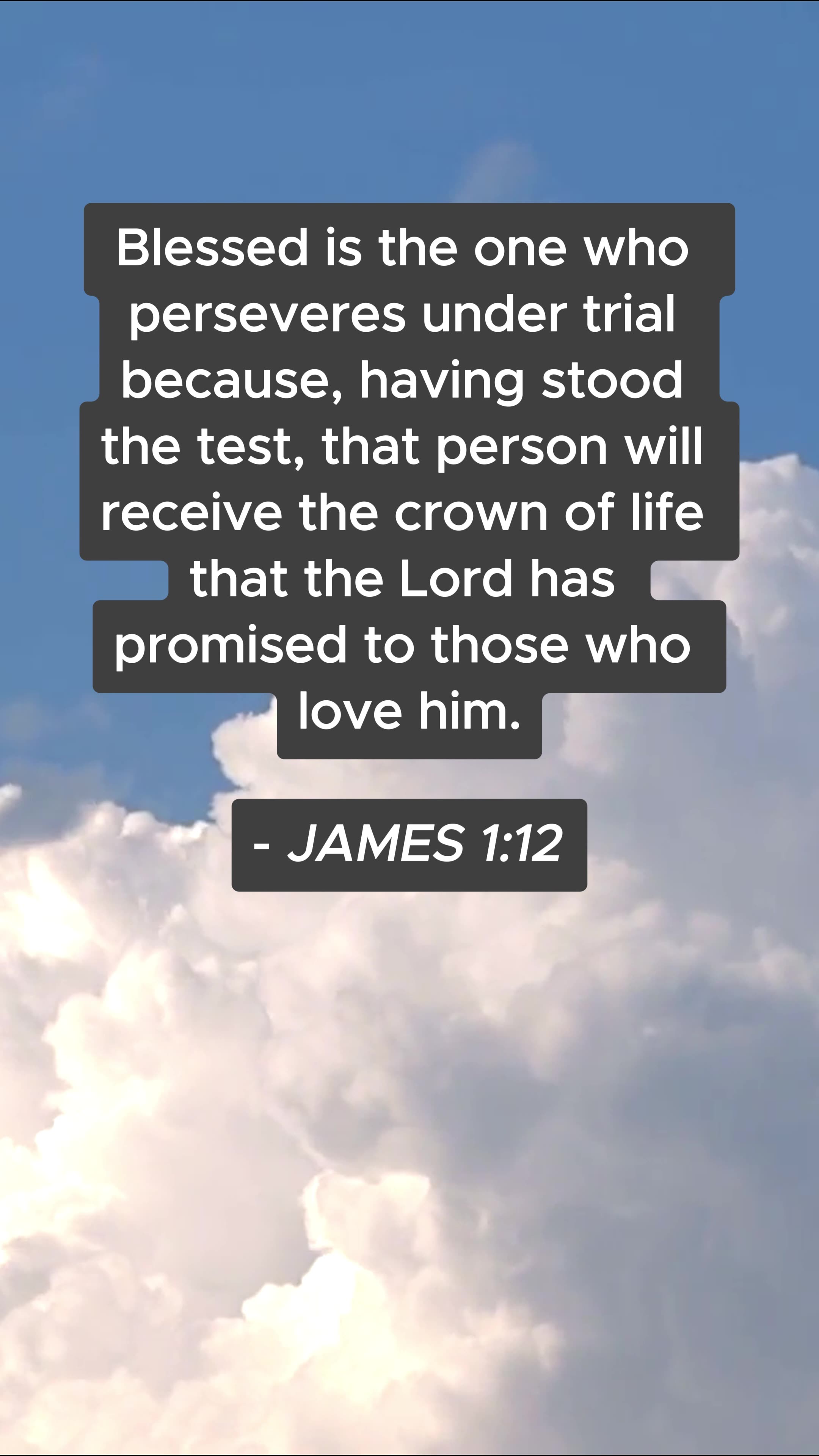 Bible Verse of the Day: August 18, 2024