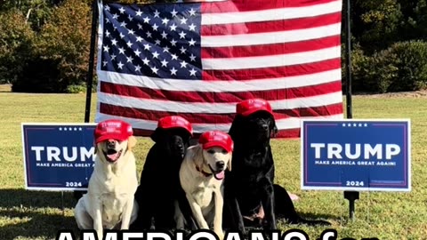 Everyone for Trump! Even the Canines!