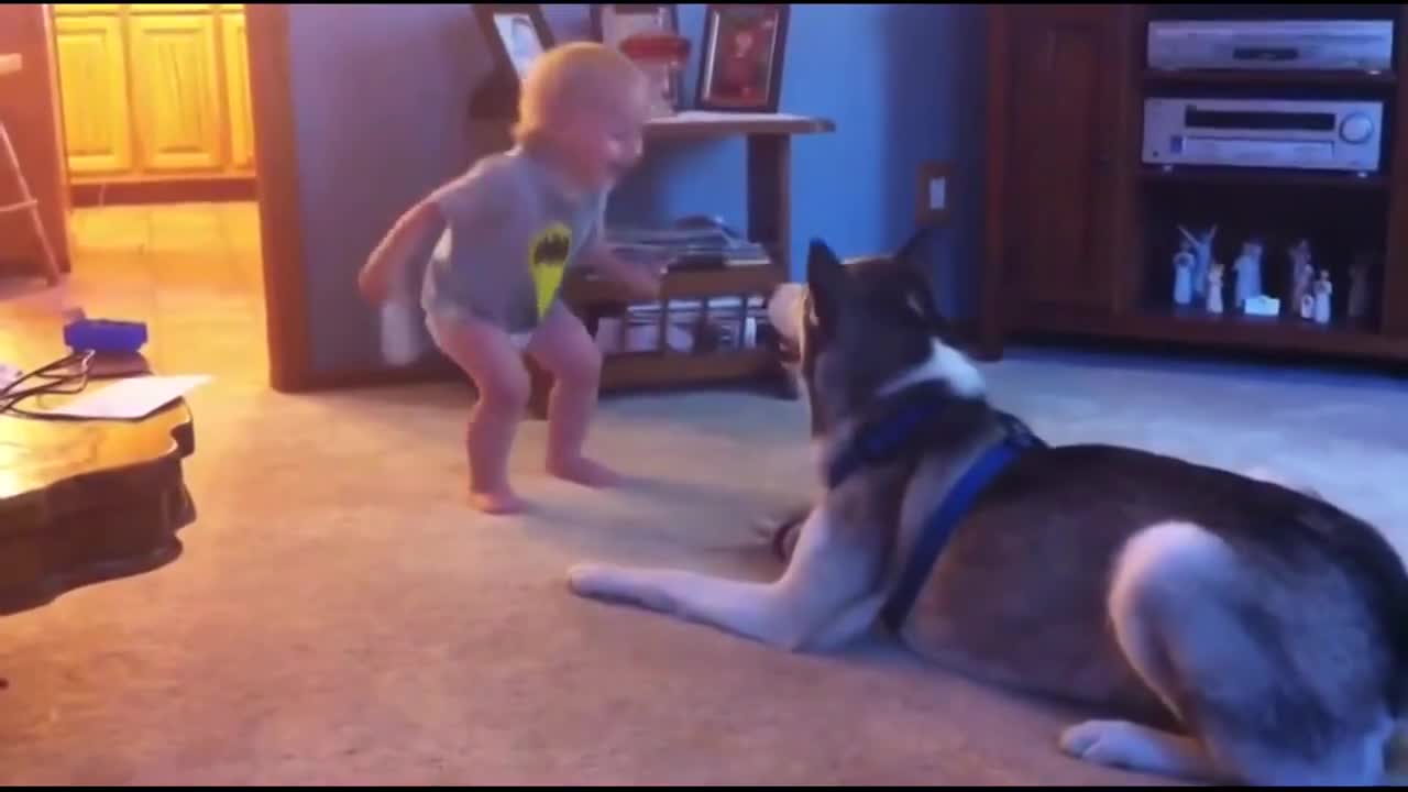 Funny Moments Baby and Dog